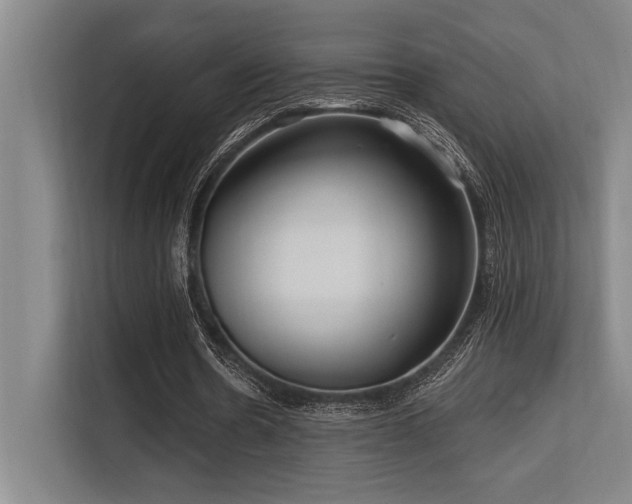 X0000113630530200909181518