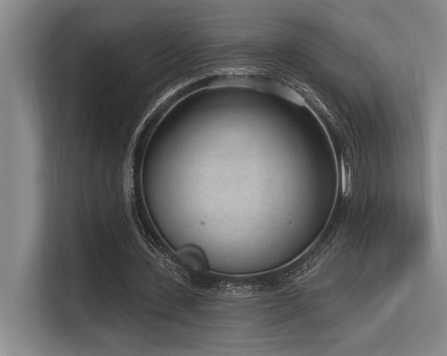 X0000113630531200909181518