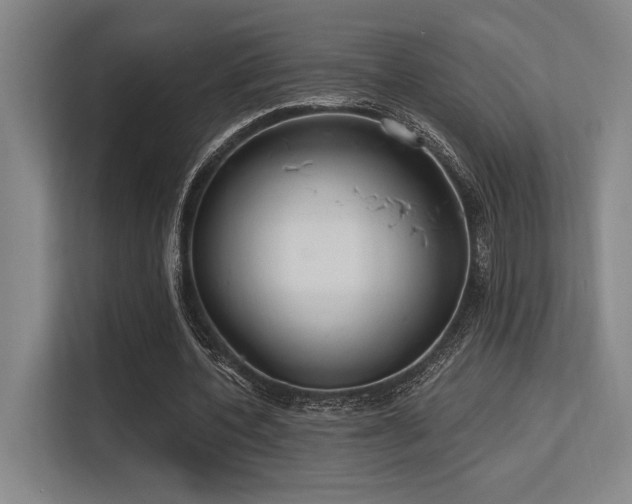 X0000113630532200909181518