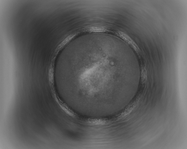 X0000113630533200909181518