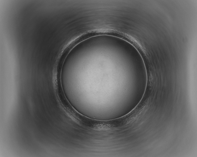 X0000113630535200909181518