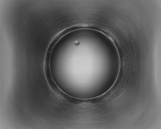 X0000113630536200909181518