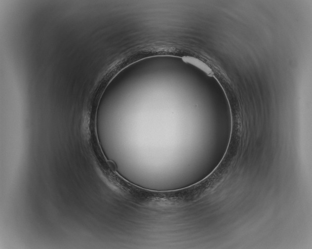 X0000113630538200909181518