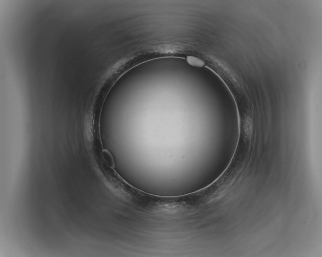 X0000113630540200909181518