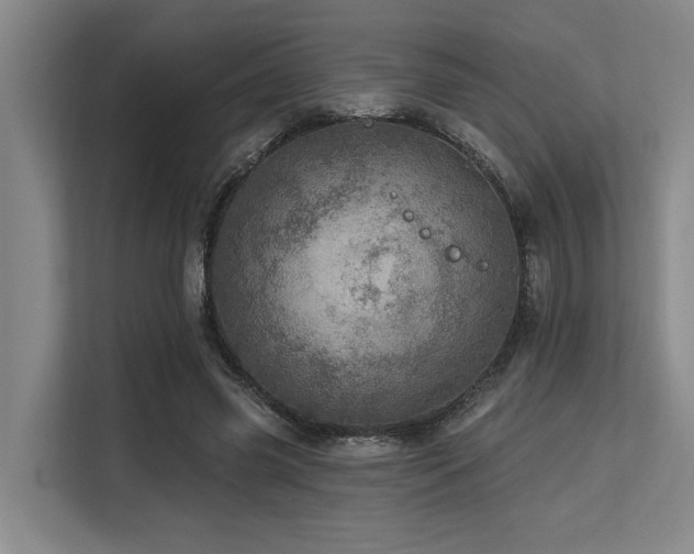 X0000113630541200909181518
