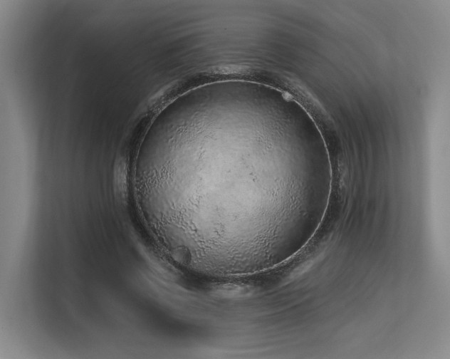 X0000113630542200909181518