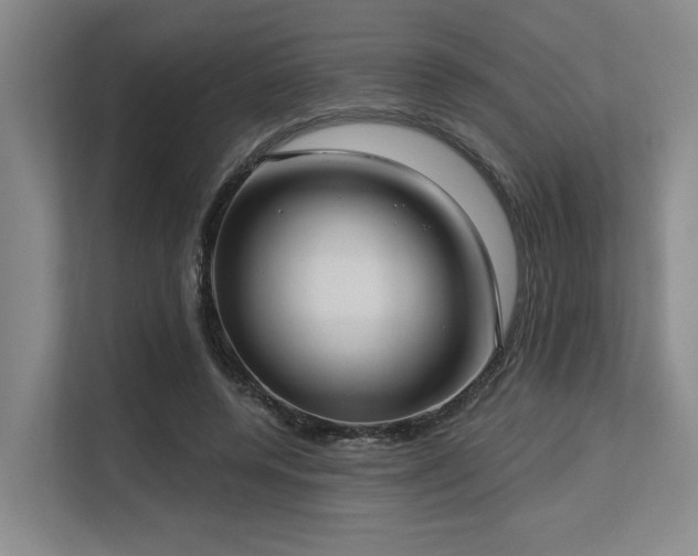 X0000113630544200909181518