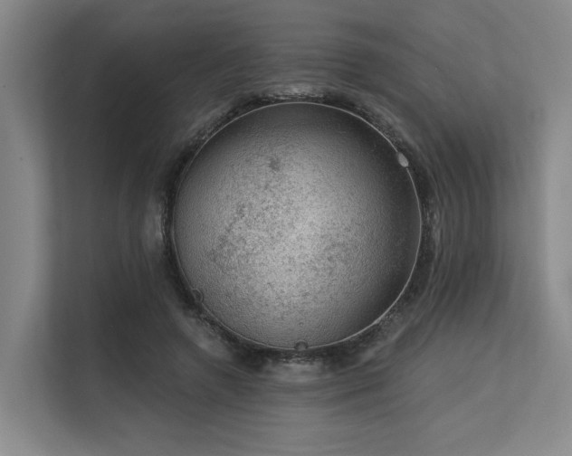 X0000113630546200909181518