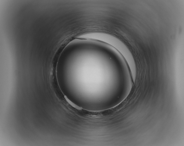 X0000113630548200909181519
