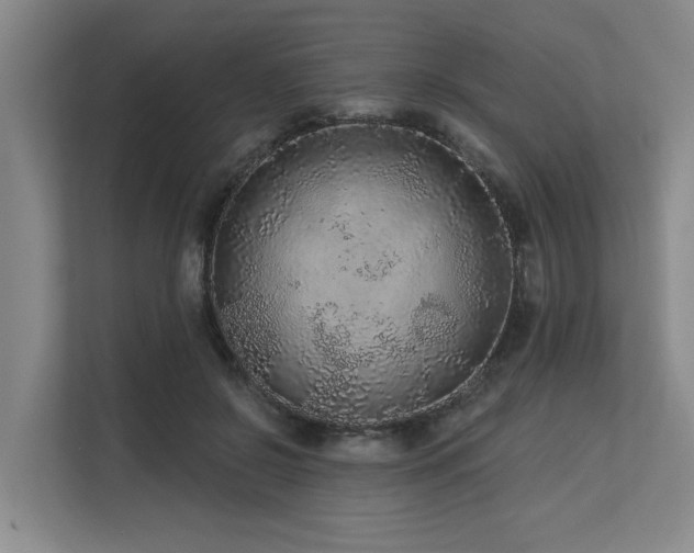 X0000113630550200909181519