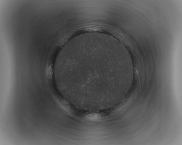 X0000113630551200909181519