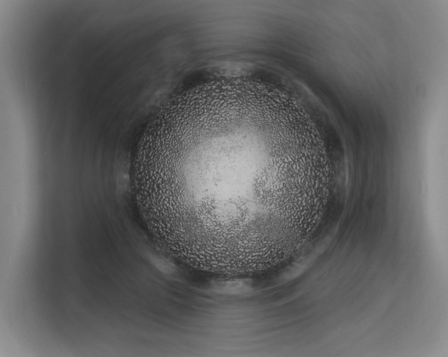 X0000113630553200909181519
