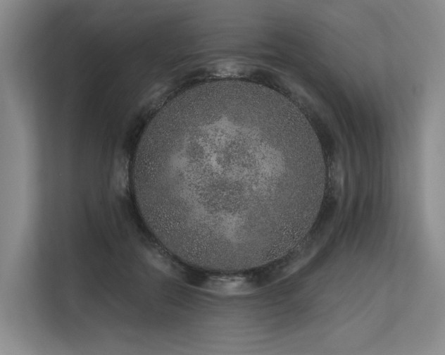 X0000113630554200909181519
