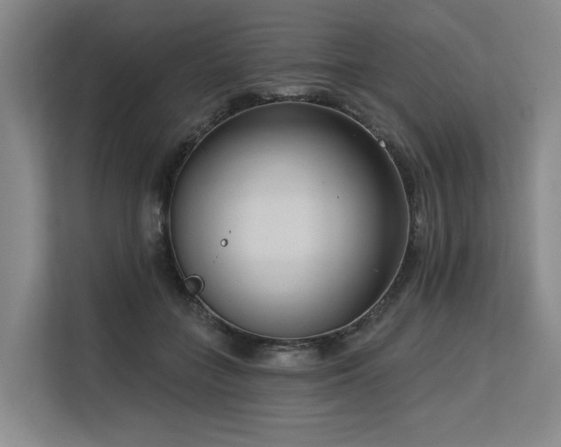 X0000113630555200909181519