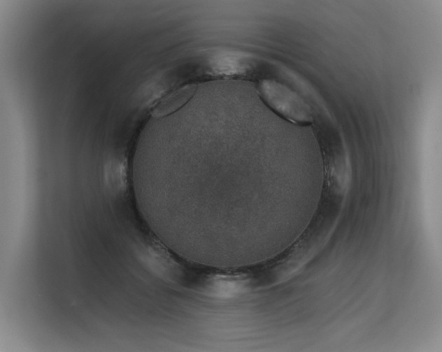 X0000113630556200909181519