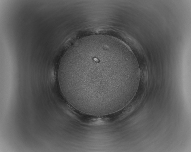 X0000113630558200909181519