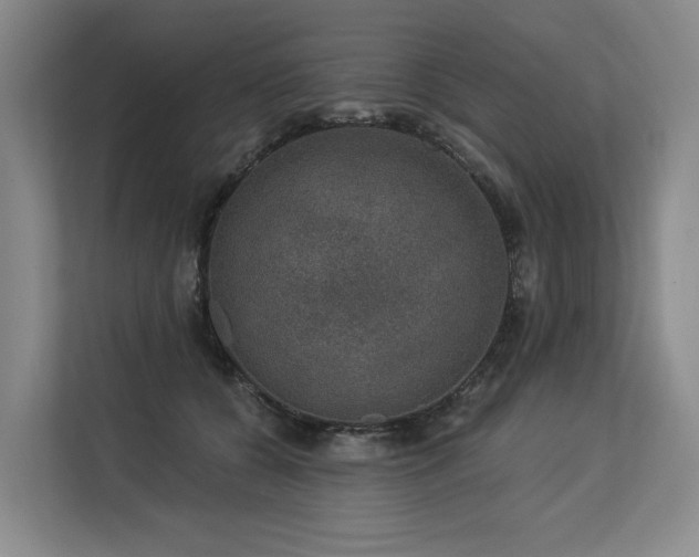 X0000113630560200909181519