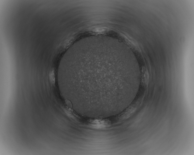 X0000113630562200909181519