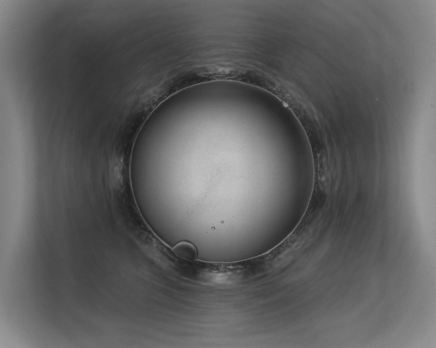 X0000113630563200909181519