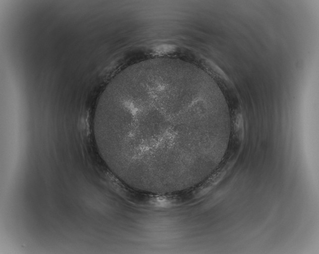 X0000113630565200909181519