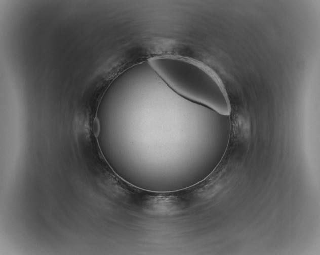 X0000113630566200909181519
