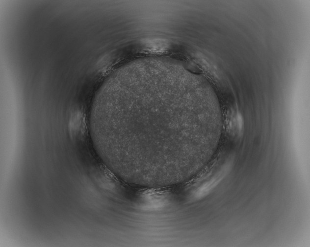 X0000113630568200909181519