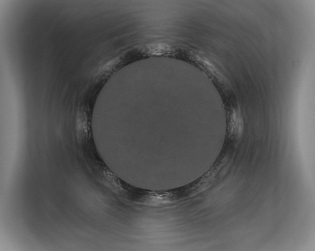 X0000113630569200909181519