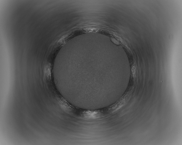 X0000113630570200909181519