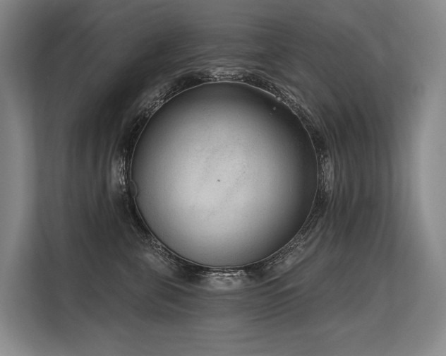 X0000113630571200909181519