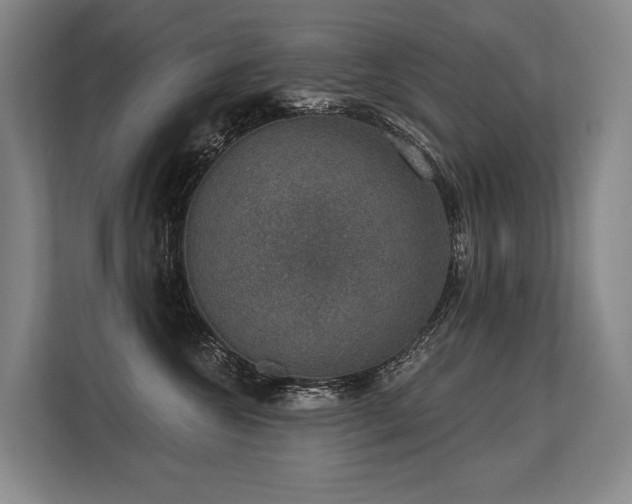 X0000113630572200909181519