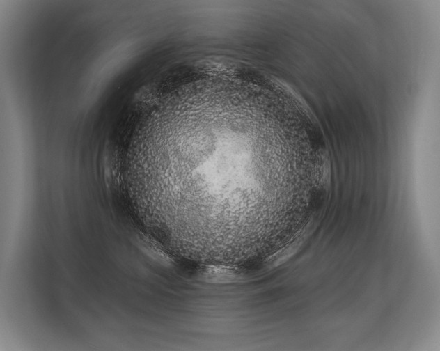 X0000113630573200909181519