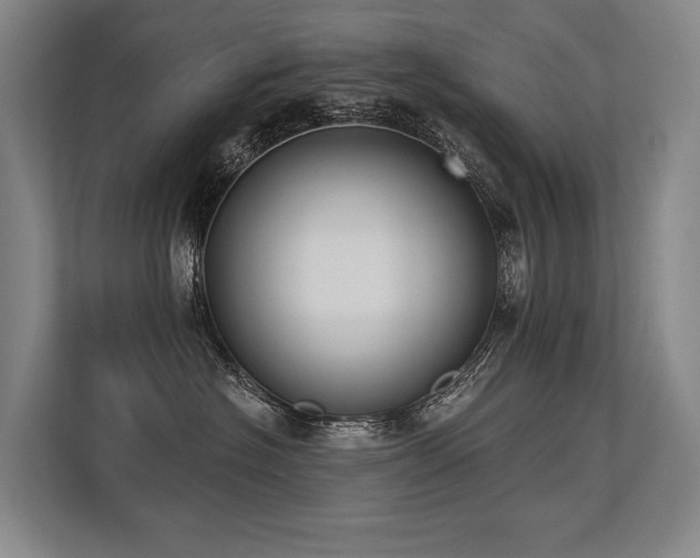 X0000113630574200909181519
