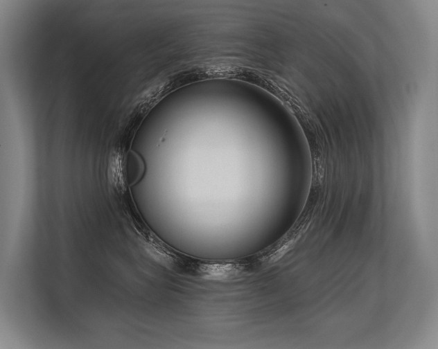 X0000113630575200909181519