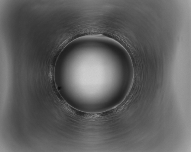 X0000113630576200909181519