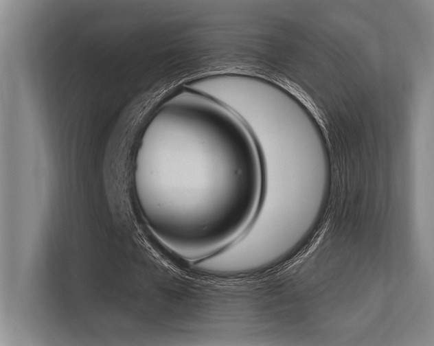 X0000113630577200909181518