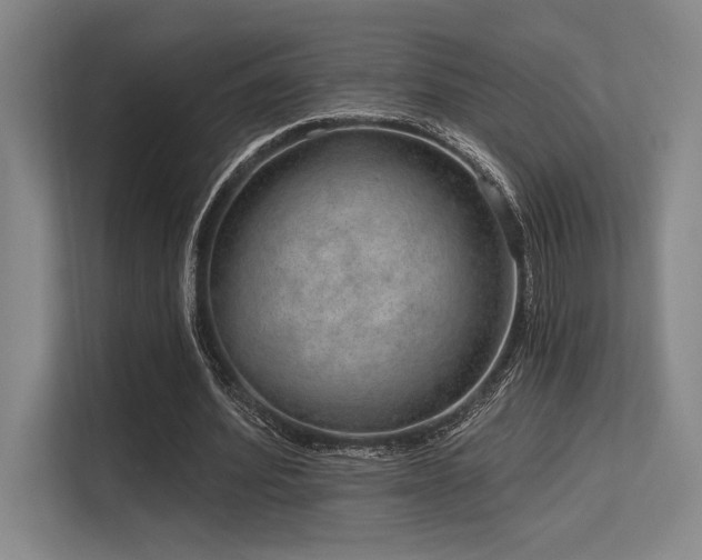 X0000113630580200909181518