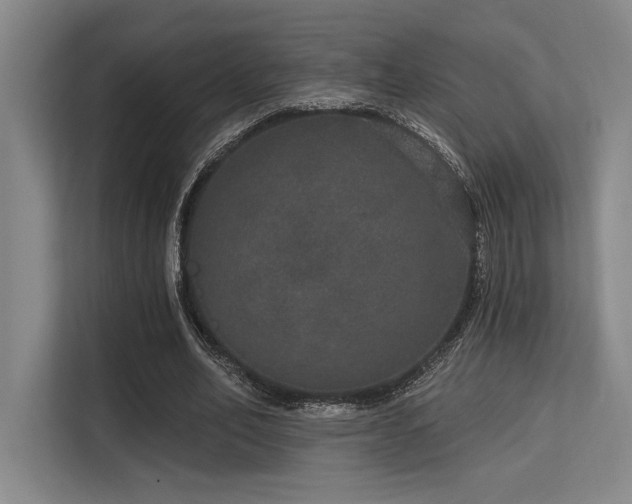 X0000113630582200909181518
