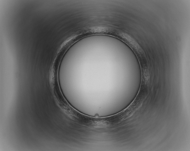 X0000113630583200909181518