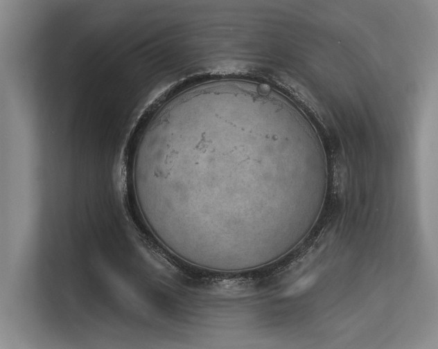 X0000113630584200909181518