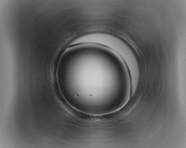 X0000113630585200909181518