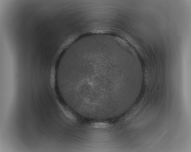 X0000113630586200909181518
