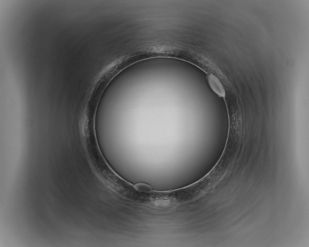 X0000113630587200909181518