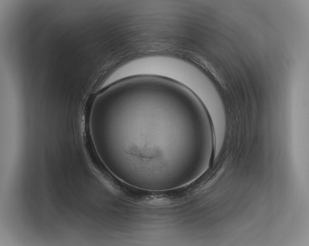 X0000113630589200909181518