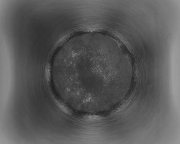 X0000113630590200909181518