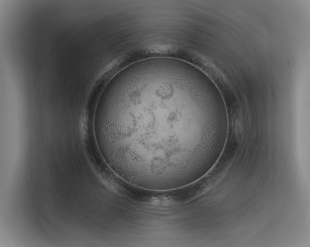 X0000113630591200909181518