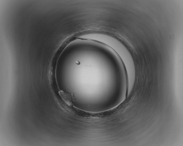 X0000113630592200909181518