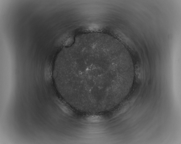 X0000113630593200909181518