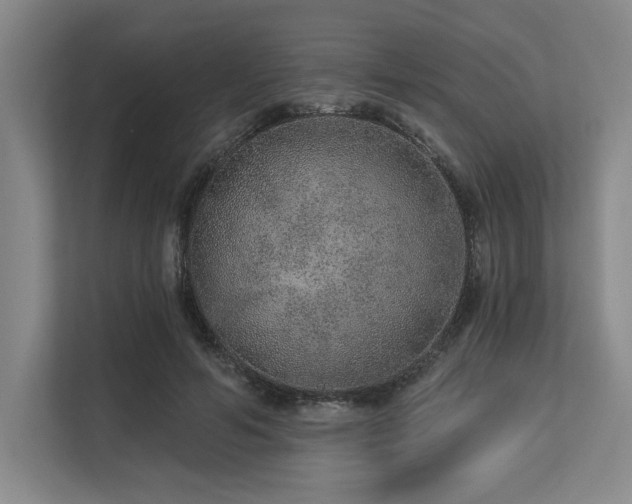 X0000113630594200909181518