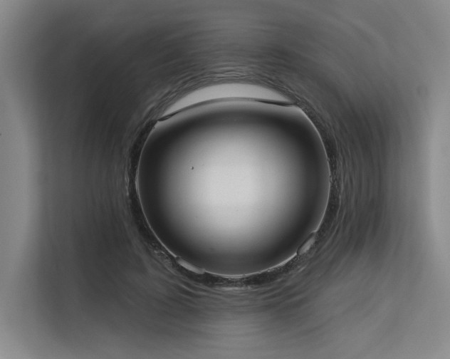 X0000113630595200909181518