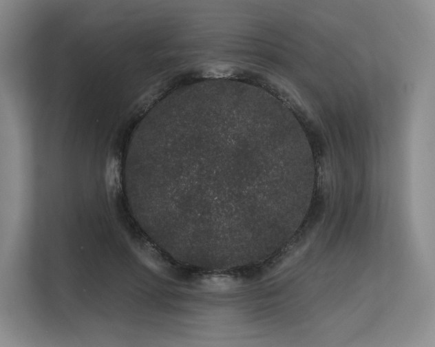 X0000113630598200909181518
